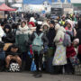 UN food agency seeks safe access in Ukraine war zones