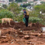 South Africa: Floods death toll rises to 443 dozens still missing