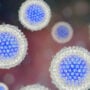 Mystery outbreak of acute hepatitis in children found in US and Europe after 74 infections in UK