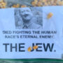 Anti-Semitic flyers highlighting Adolf Hitler found outside Boca Raton homes