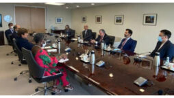 IMF team