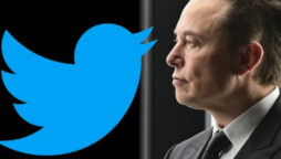 How will the Twitter change? After Elon Musk buy it