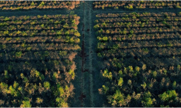 Restoring damaged land key to climate, biodiversity goals