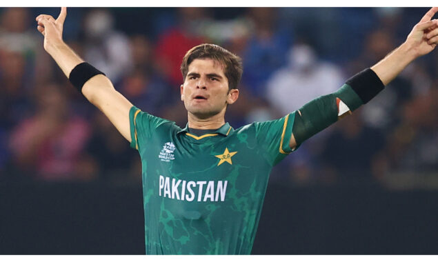 shaheen afridi