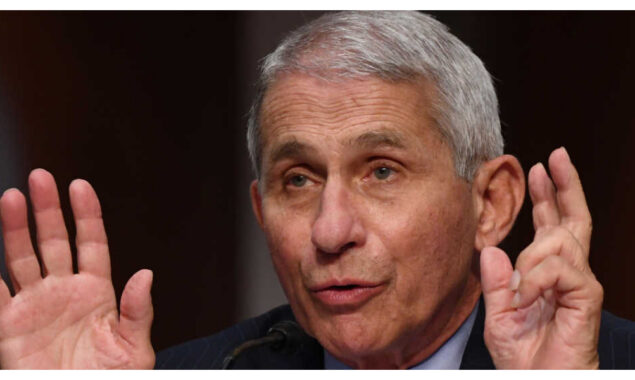 Fauci Sees Fall Coronavirus Surge as BA.2 Infections Rise