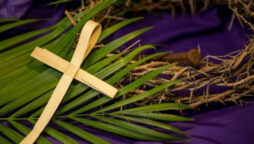 Everything you need to know about Palm Sunday!