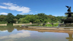 New York’s Central Park a climate change ‘Lab’