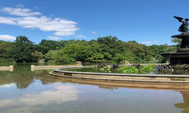 New York’s Central Park a climate change ‘Lab’