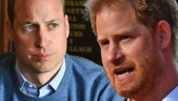 Prince William and Harry will be REUNITED as part of a ‘unbreakable relationship’ that will bring them together