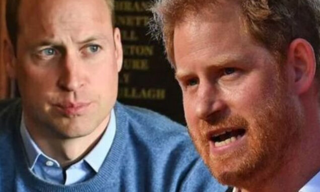Prince William and Harry will be REUNITED as part of a ‘unbreakable relationship’ that will bring them together