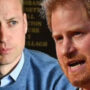 Prince William and Harry will be REUNITED as part of a ‘unbreakable relationship’ that will bring them together