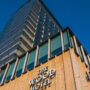 In Scandinavia, wooden buildings reach new heights