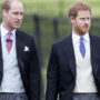 Prince William ‘will always put his arm around Prince Harry’