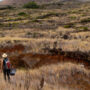Scientists investigate “Mexico’s Galapagos” for quake