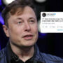 Elon Musk becomes Twitter’s ‘largest shareholder’