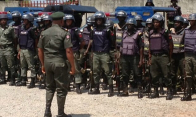 Seven Niger police officers killed by suspected jihadists
