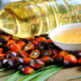 Indonesia bans palm oil exports