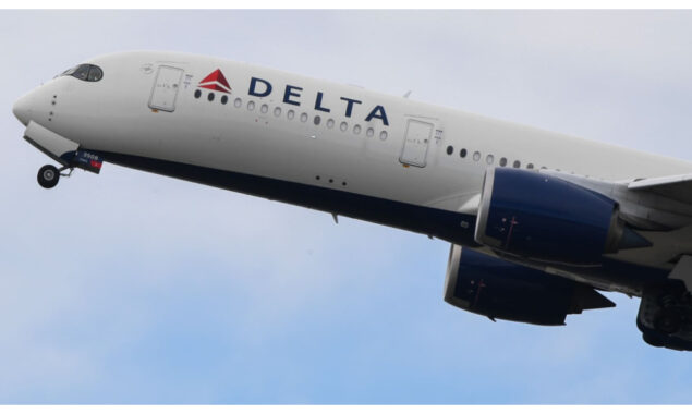Delta stocks fly as sturdy call for offsets jet fuel