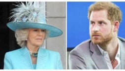 Camilla’s split with Prince Harry left her “totally broken”