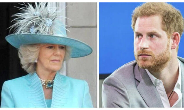 Camilla’s split with Prince Harry left her “totally broken”
