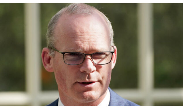 Irish foreign minister to visit Kyiv