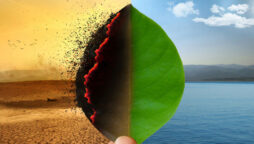 Climate change: effects, causes and solutions everything you need to know about!