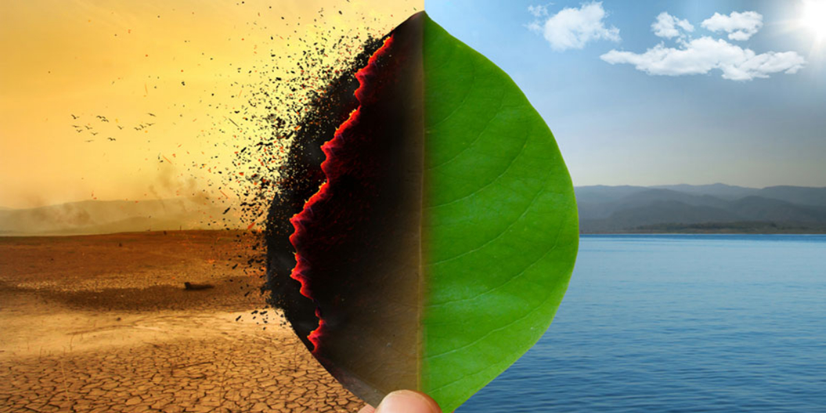 Climate change: effects, causes and solutions everything you need to know about!