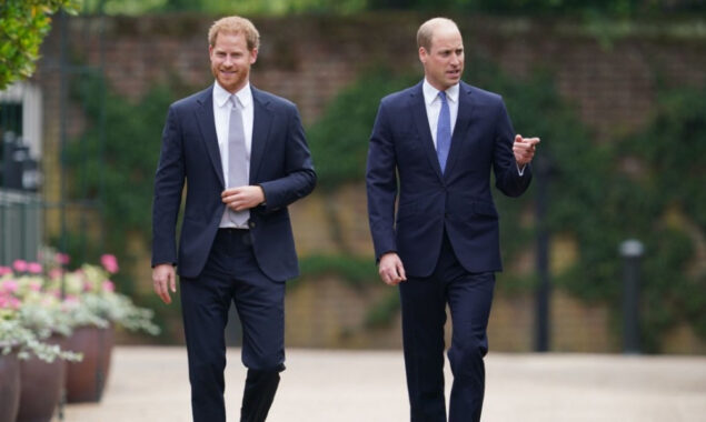 Prince Harry ‘trying’ to prove he’s better than Prince William to Queen