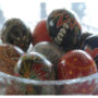 Displaced Ukrainians adorn Easter eggs for soldiers on the front