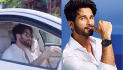 shahid kapoor