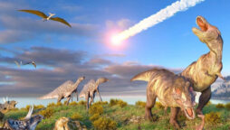 Inside final days of dinosaurs before fatal asteroid strike