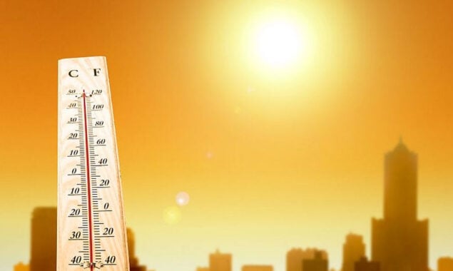 Europe had its hottest summer last year, climate change report
