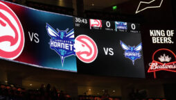 Hornets