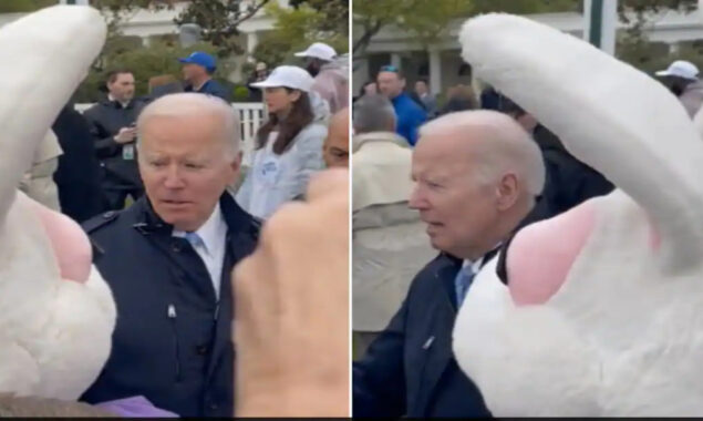 joe biden