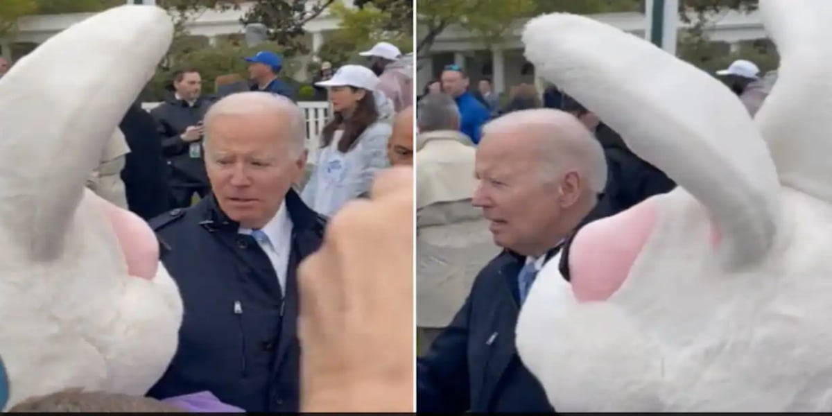 joe biden