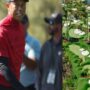 Golf course designed by Tiger Woods set to open in Florida