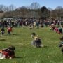 Easter Bunny, Families gathers for Eggstravaganza at Regional Park