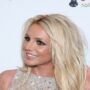 Britney Spears’ ex-husband denied bail reduction and will remain in jail