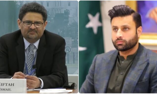 Zulfi Bukhari offers free coaching on Web 3.0 to Miftah Ismail