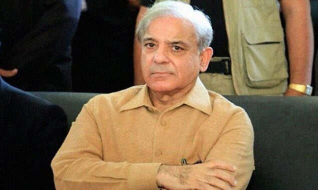 PM Shehbaz says govt fixing problem of loadshedding