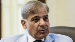 PM Sharif announces end to load-shedding from May 1 as 20 power plants made operational