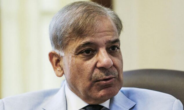 PM Sharif announces end to load-shedding from May 1 as 20 power plants made operational
