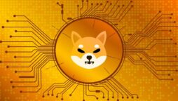 Shiba Inu TO PKR