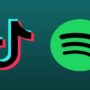 Spotify tests music revelation feed like TikTok