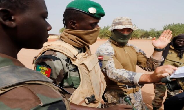German Foreign Minister seeks stop to Mali-Russian collaboration
