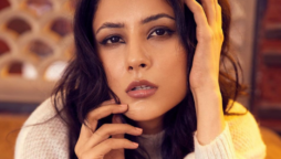 Shehnaaz Gill shares new pictures wearing crochet top and embellished skirt