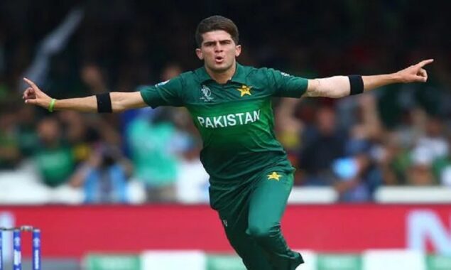 ICC Rankings: Afridi leaps into the top ten T20I bowlers