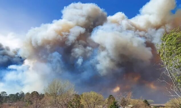 Arizona wildfire spreads quickly; forces evacuation of 700+ homes
