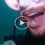 Watch Video: Scuba diver has his teeth cleaned by a shrimp in the ocean