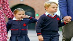 ﻿The ‘dream careers’ of Princess Charlotte and Prince George have been revealed